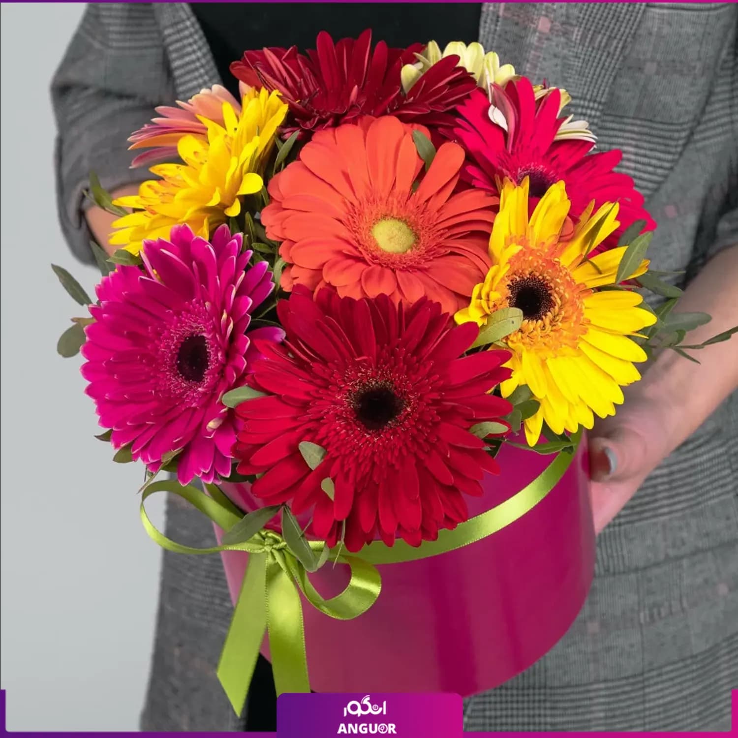 باکس گل ژربرا 12 شاخه