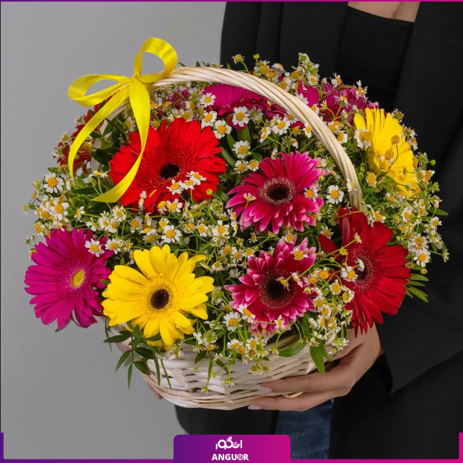 سبد گل ژربرا رنگارنگ