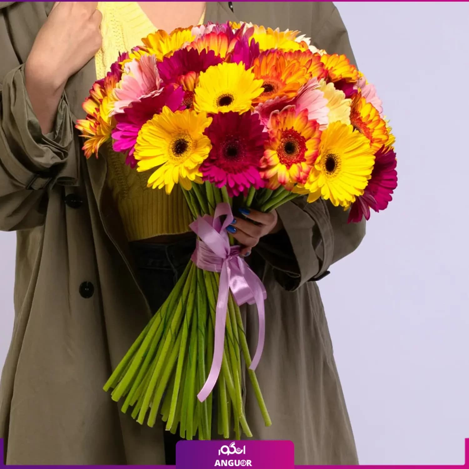 دسته گل ژربرا رنگین کمان (70شاخه) — تصویر ۲