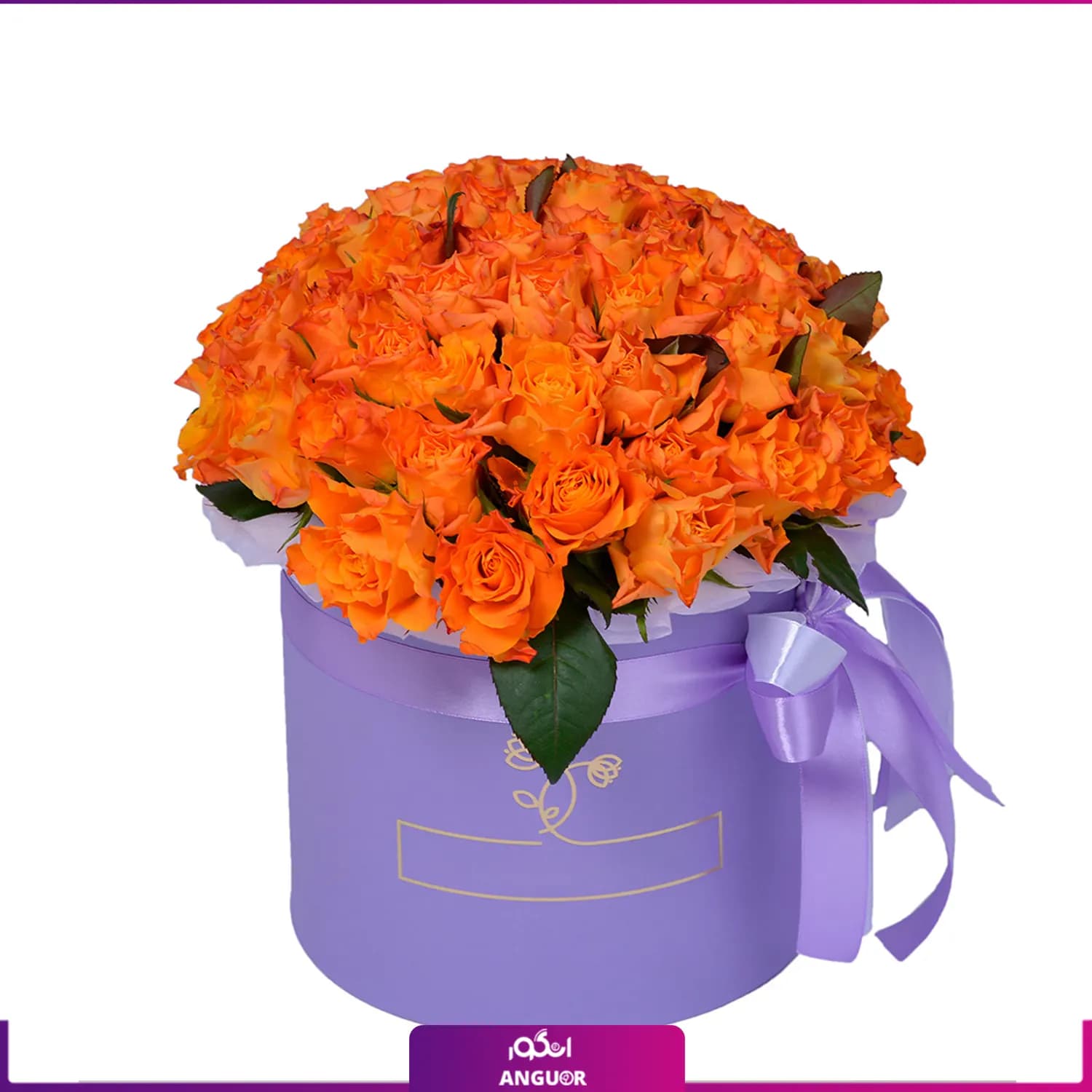 باکس گل رز مینیاتوری نارنجی
