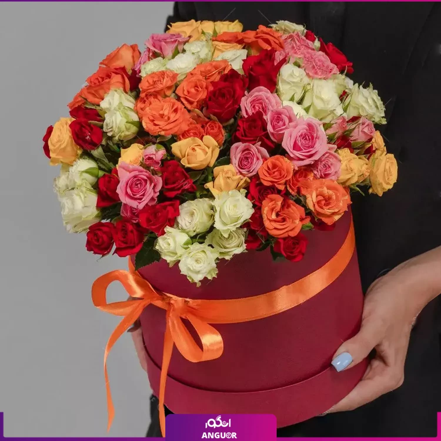 باکس گل رز مینیاتوری رنگارنگ