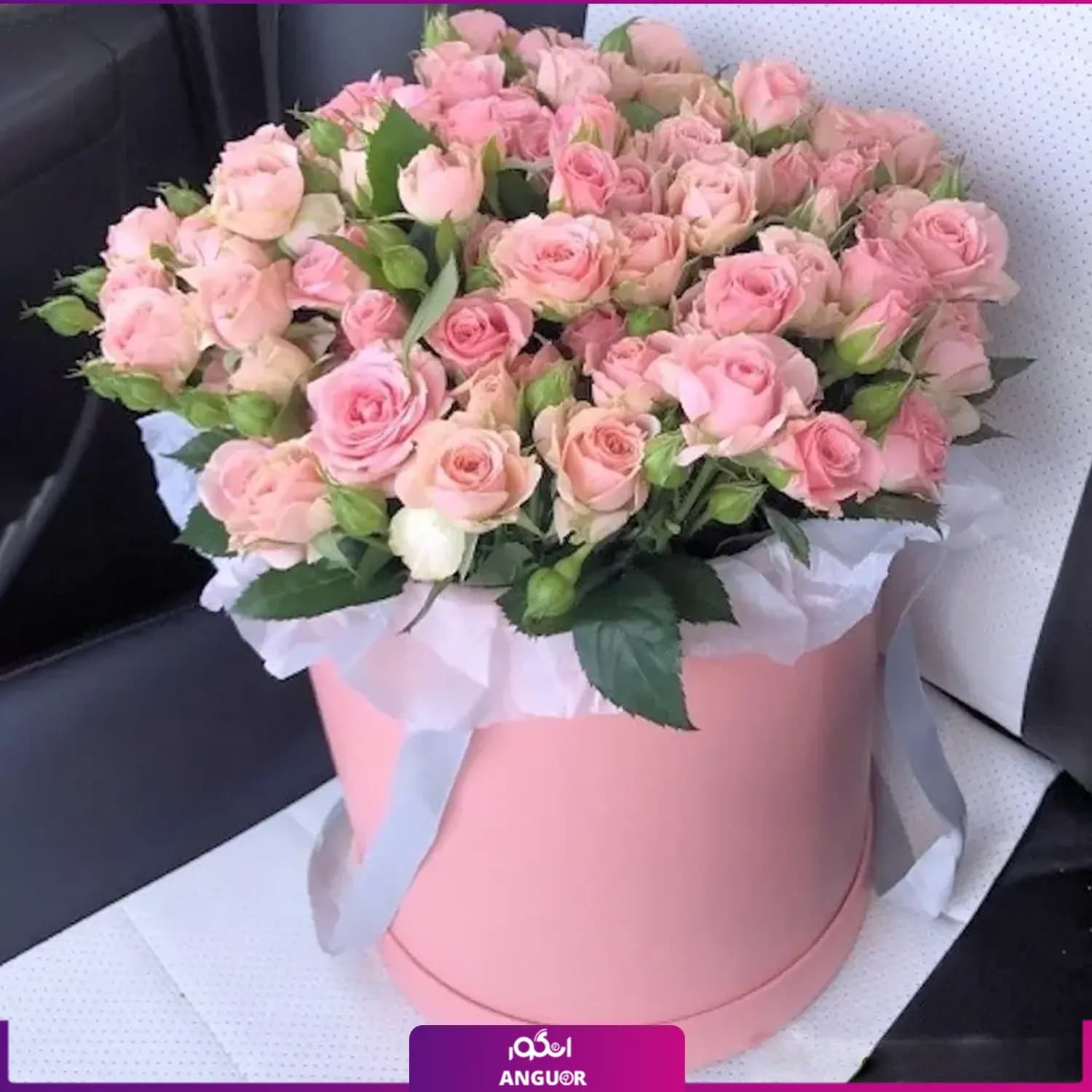 باکس گل رز مینیاتوری دخترانه — تصویر ۲