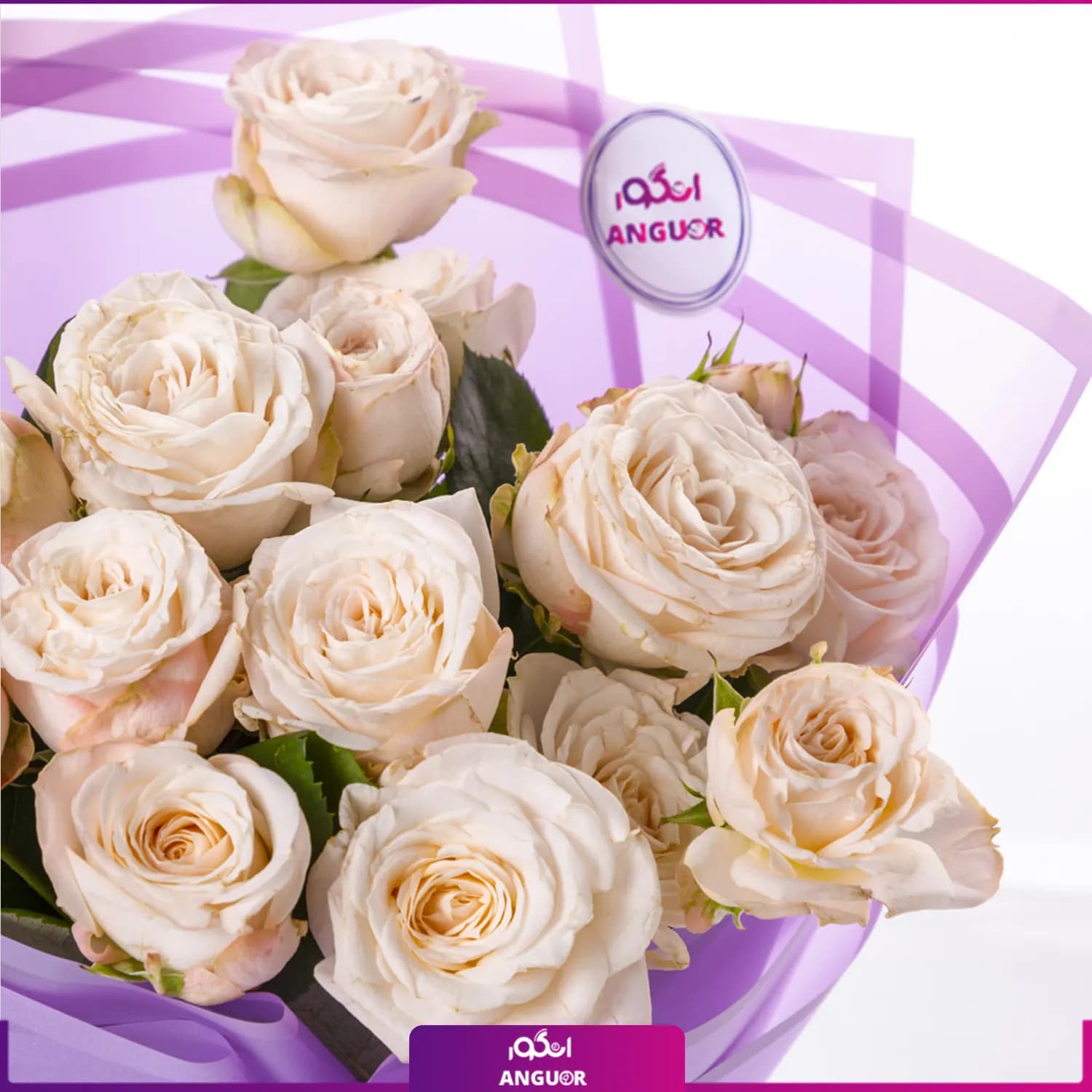دسته گل رز مینیاتوری سفید زیبا — تصویر ۳