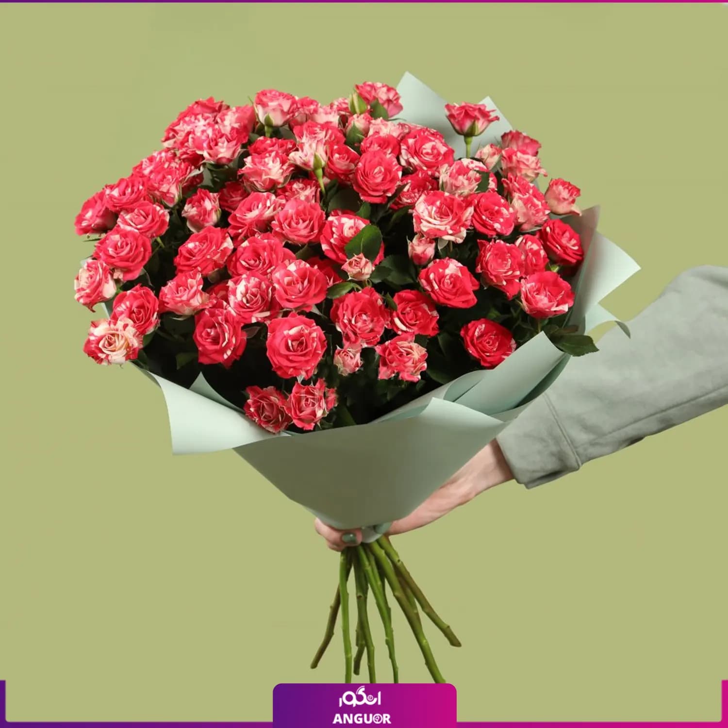 دسته گل رز مینیاتوری دو رنگ