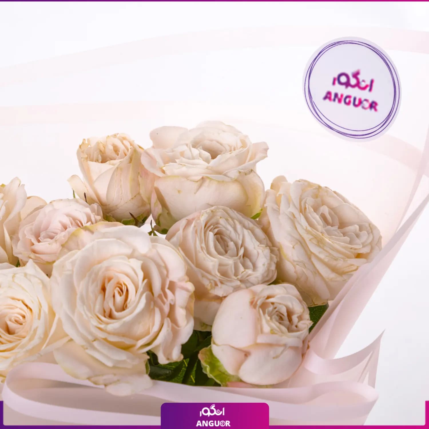 دسته گل رز مینیاتوری گلبهی — تصویر ۳
