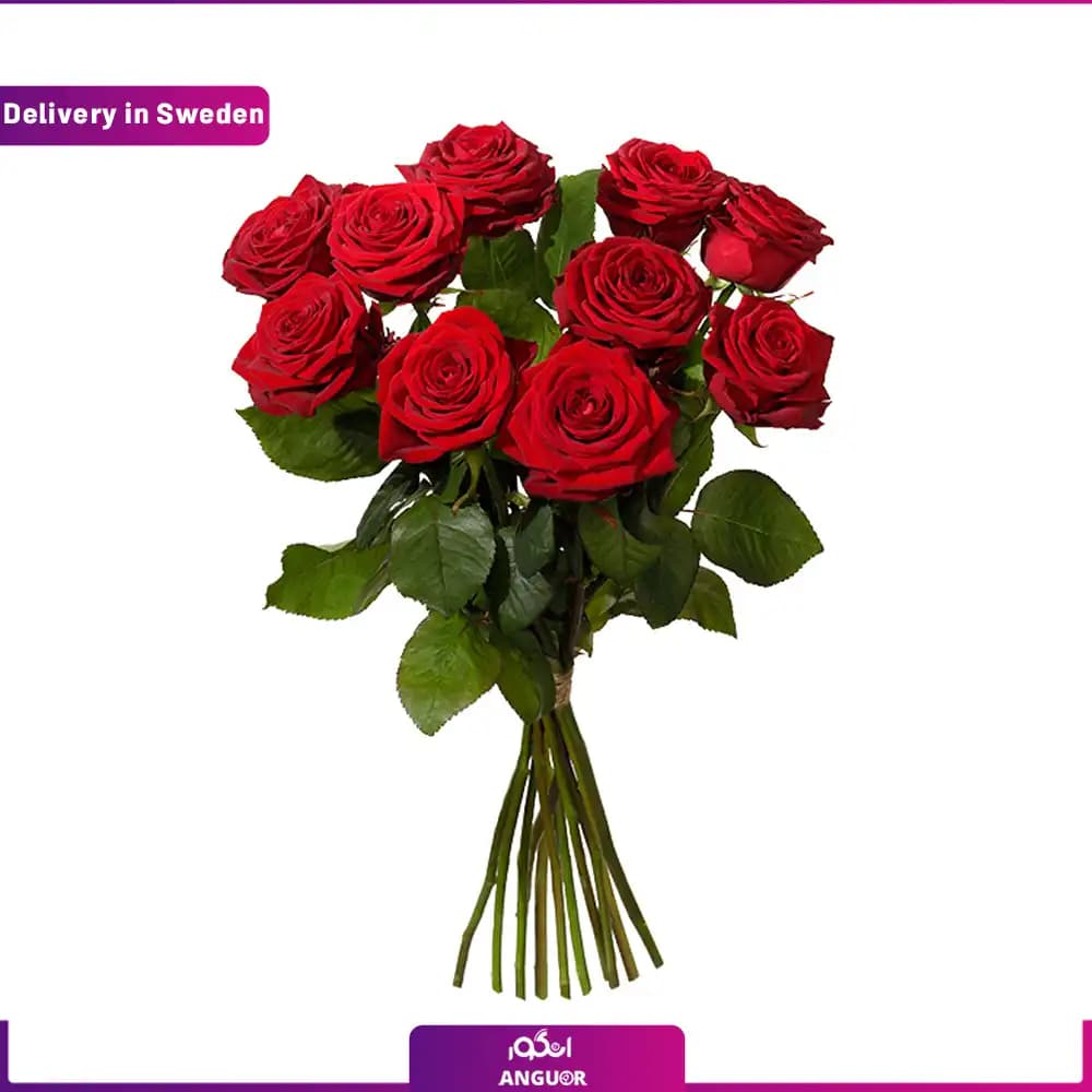 دسته گل 10 شاخه رز قرمز (ارسال گل به سوئد )