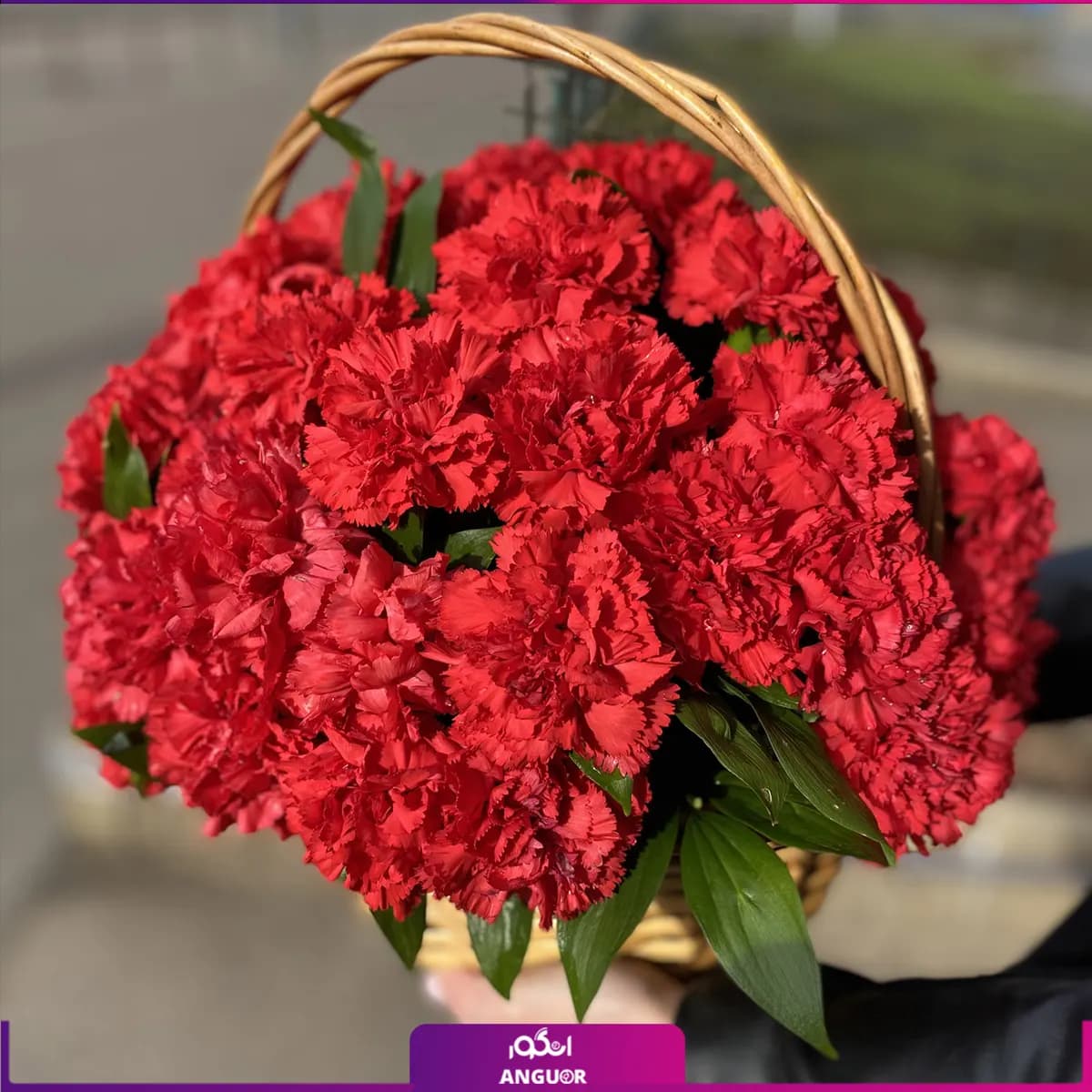 سبد گل میخک قرمز