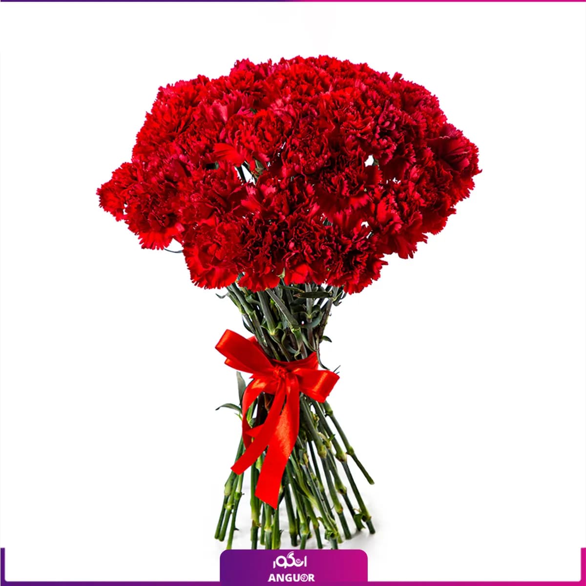 دسته گل میخک قرمز (35 شاخه)