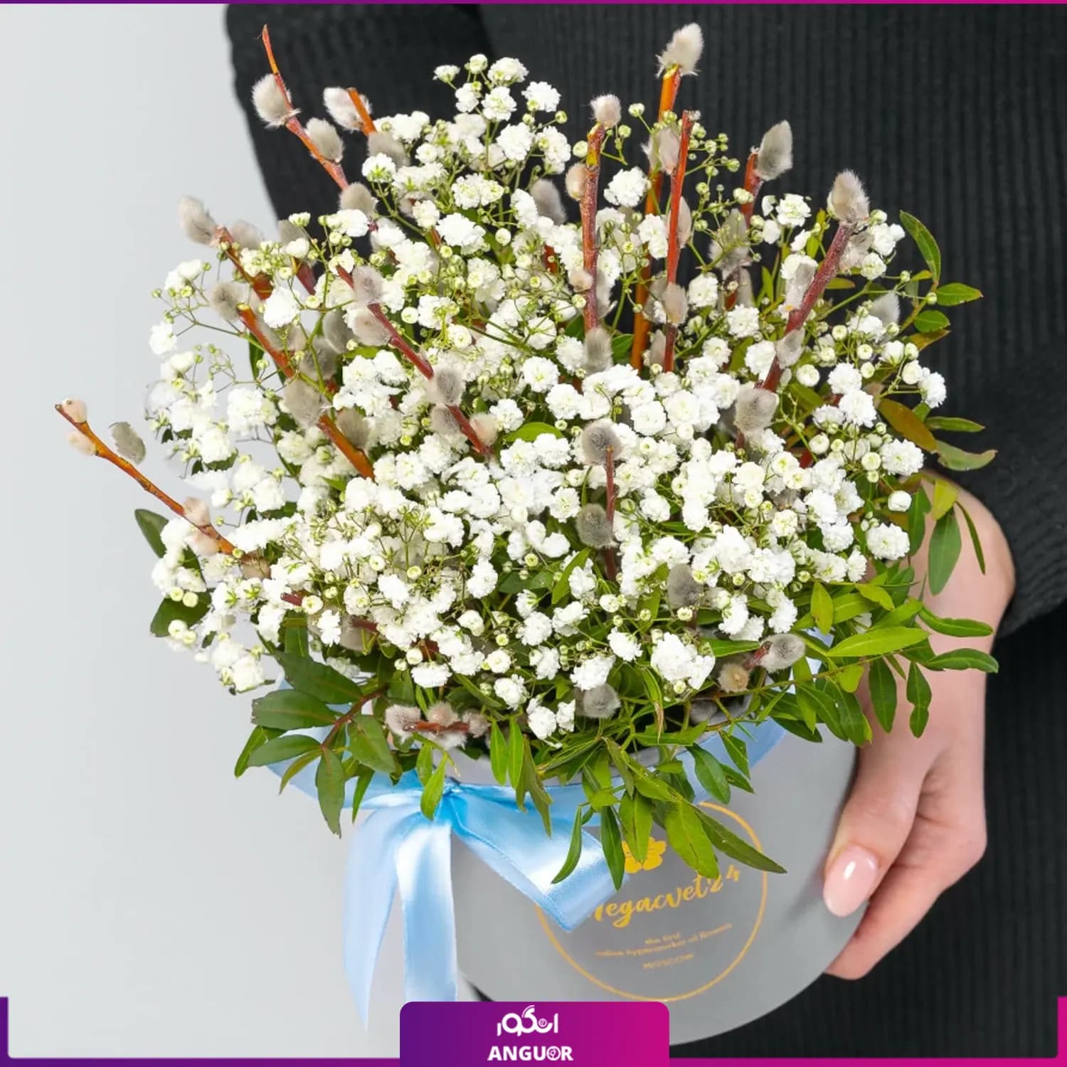 باکس گل ژیپسوفیلا (عروس) سفید — تصویر ۲