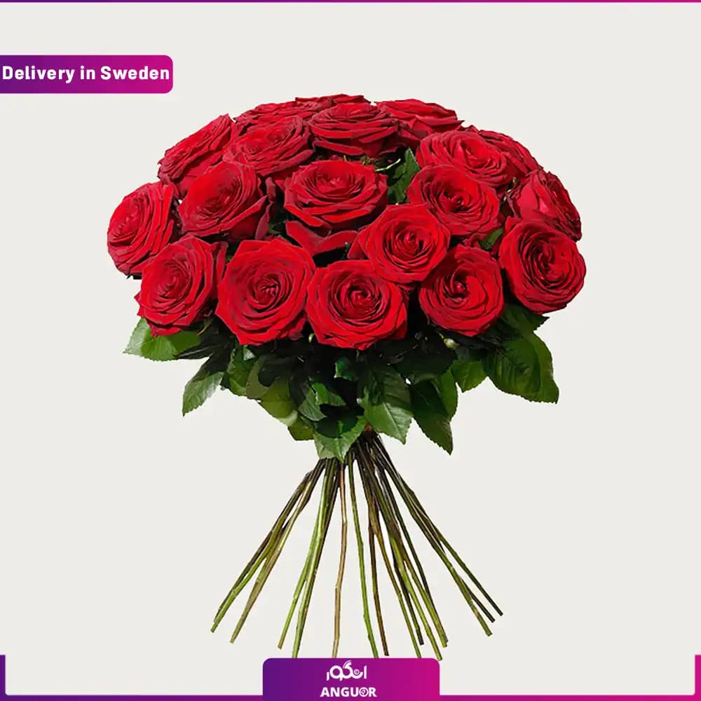 دسته گل 20 شاخه رز قرمز (ارسال گل به سوئد )