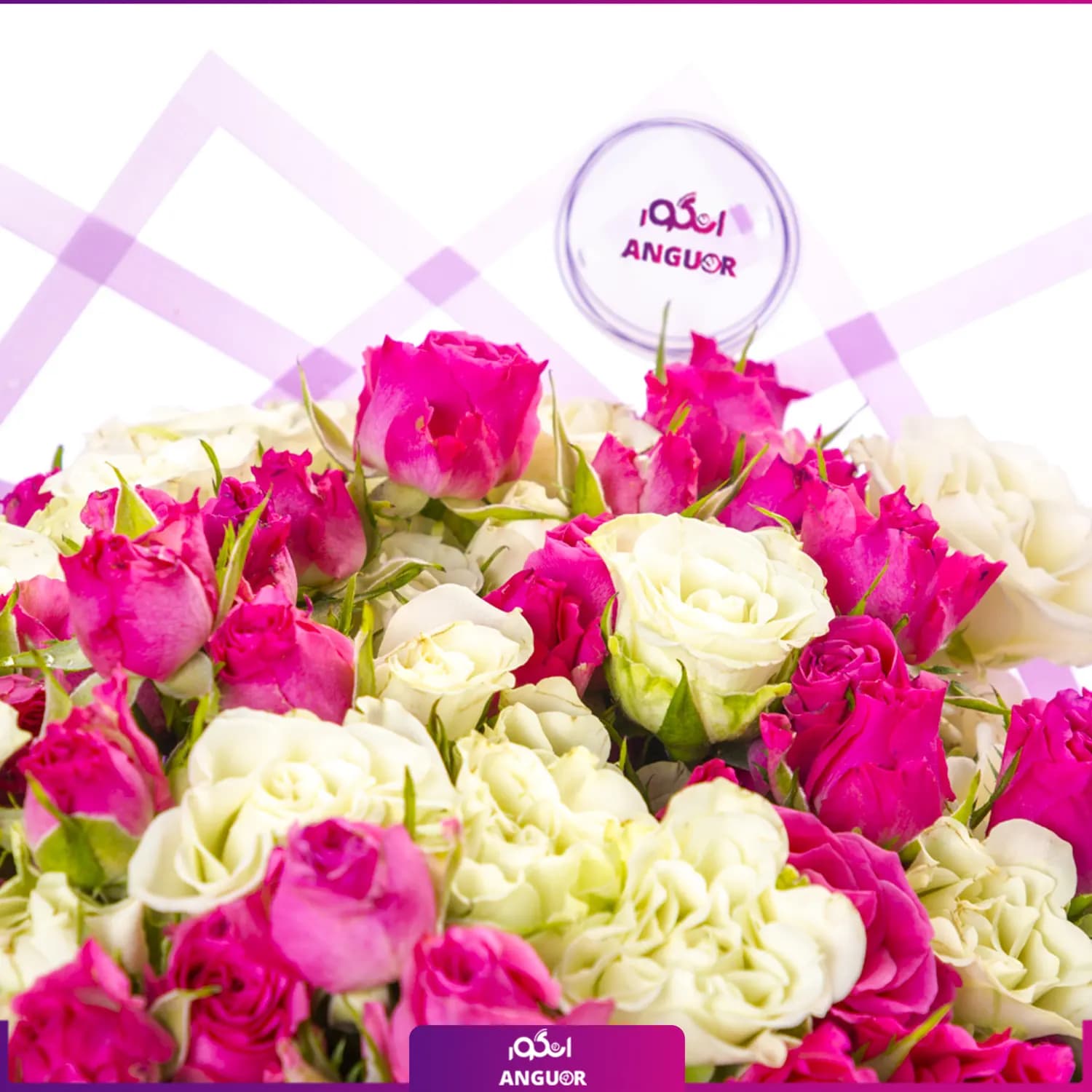 دسته گل رز مینیاتوری سفید – صورتی — تصویر ۴