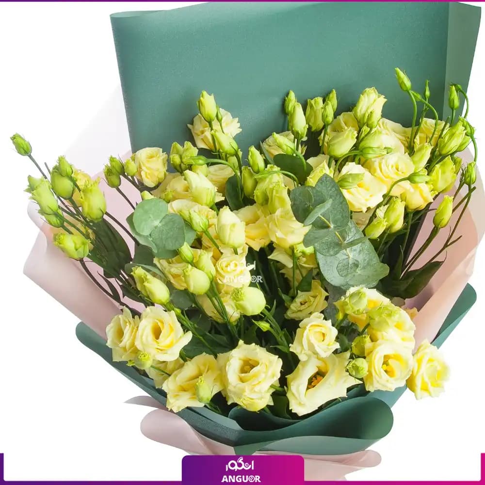 دسته گل لیسیانتوس نباتی — تصویر ۴
