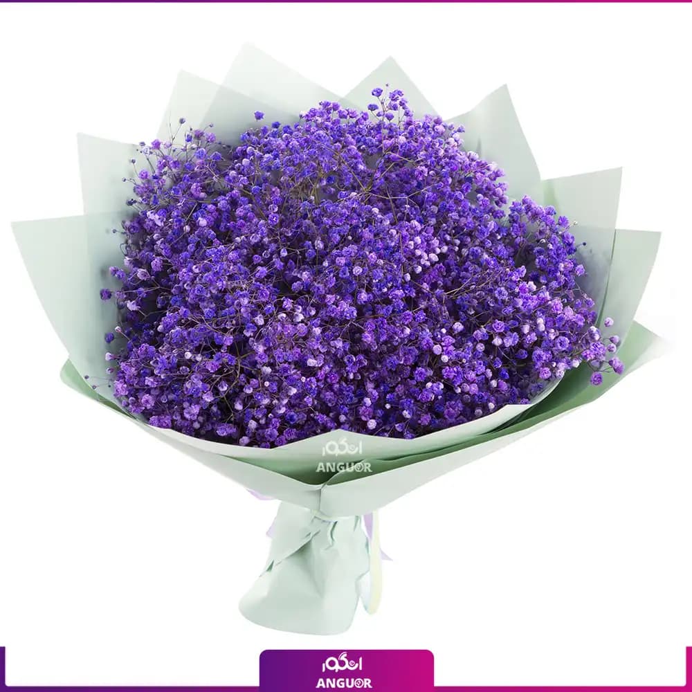 دسته گل ژیپسوفیلا بنفش (گل عروس)