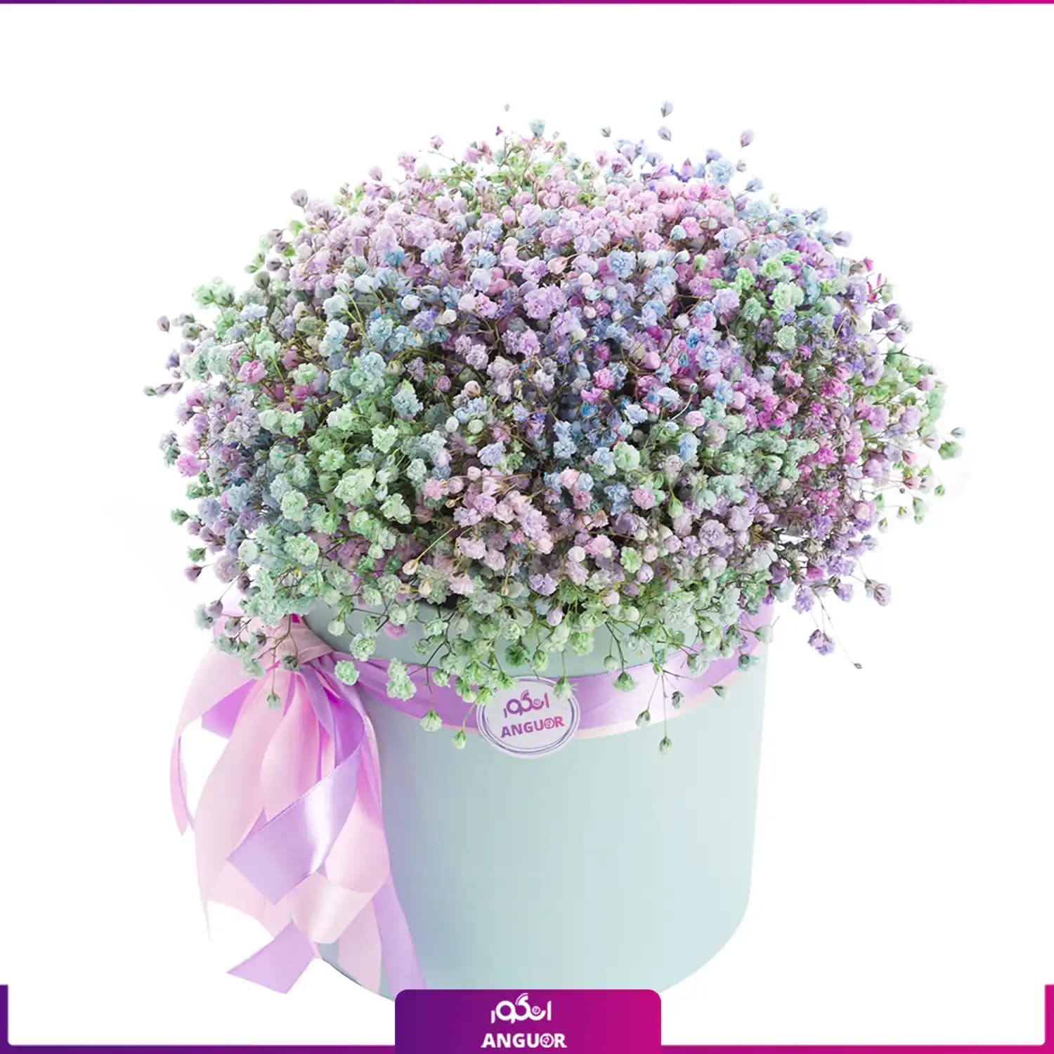 باکس گل ژیپسوفیلا رنگارنگ (گل عروس)