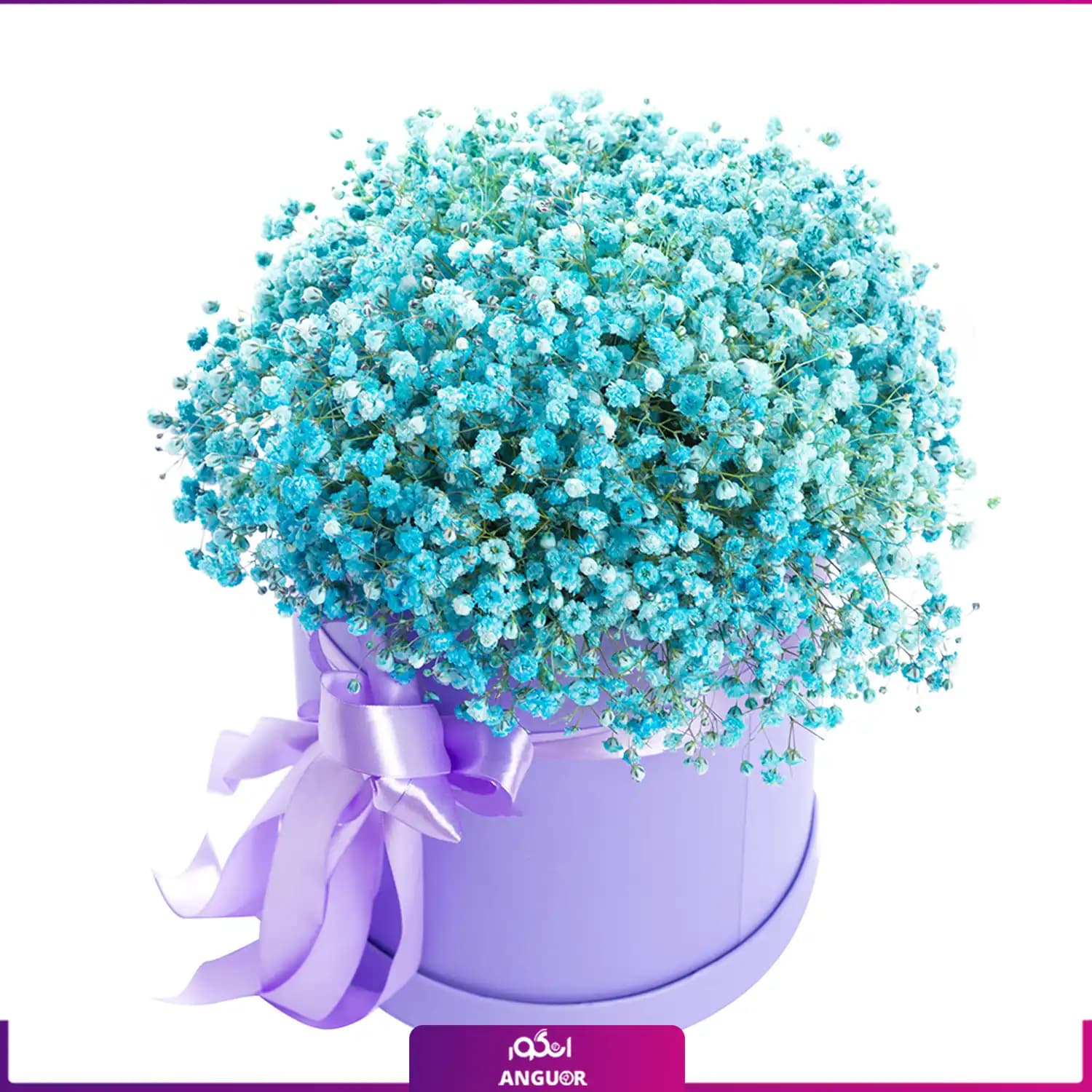 باکس گل ژیپسوفیلا فیروزه ای (گل عروس)