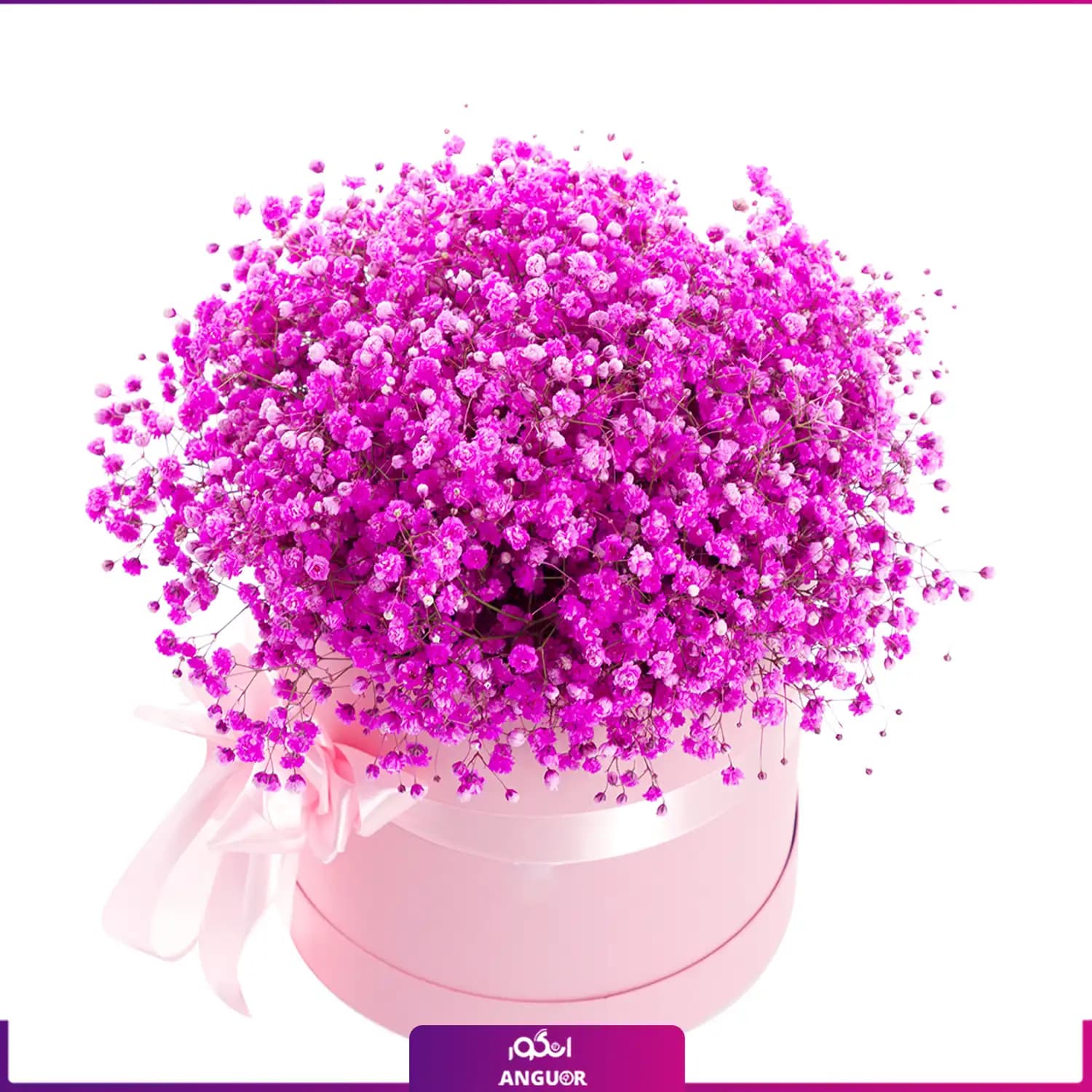 باکس گل ژیپسوفیلا صورتی (گل عروس)