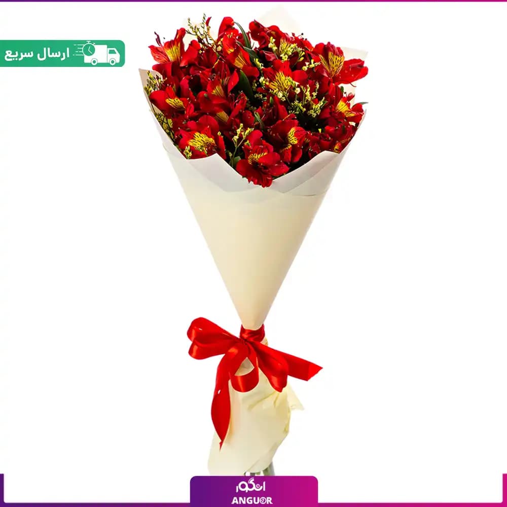 دسته گل آلسترومریا قرمز کوچک (13 شاخه) — تصویر ۲