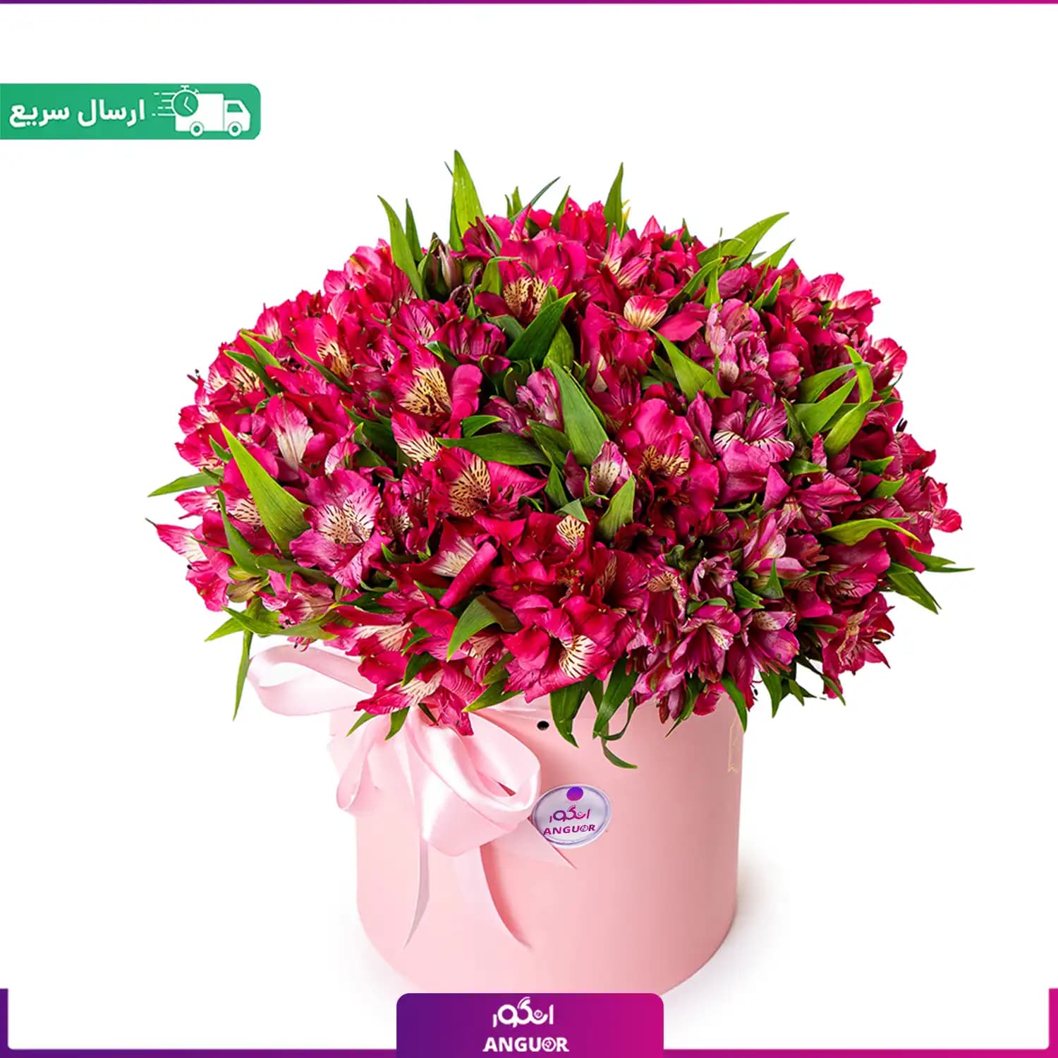 باکس گل آلسترومریا قرمز (40 شاخه)
