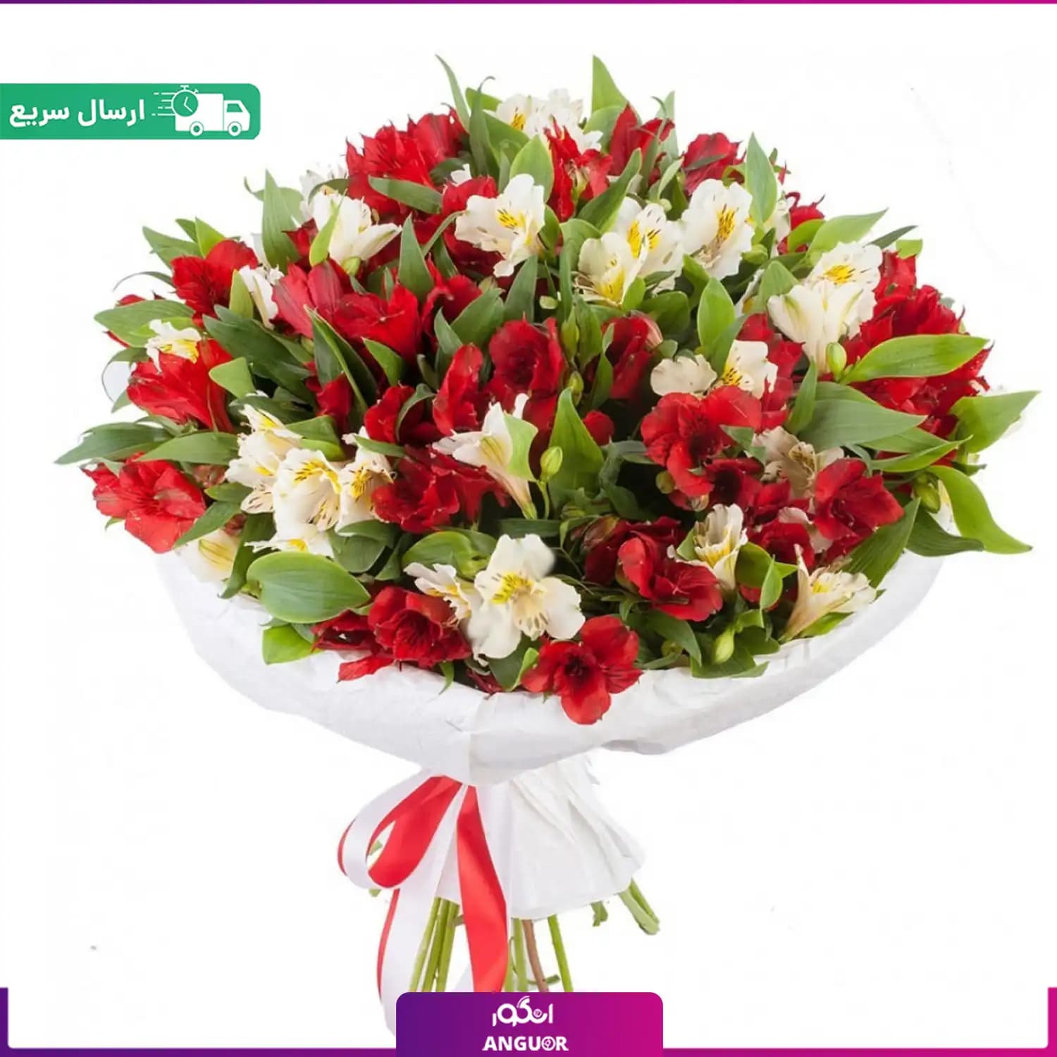 دسته گل آلسترومریا قرمز و سفید (35 شاخه) — تصویر ۲