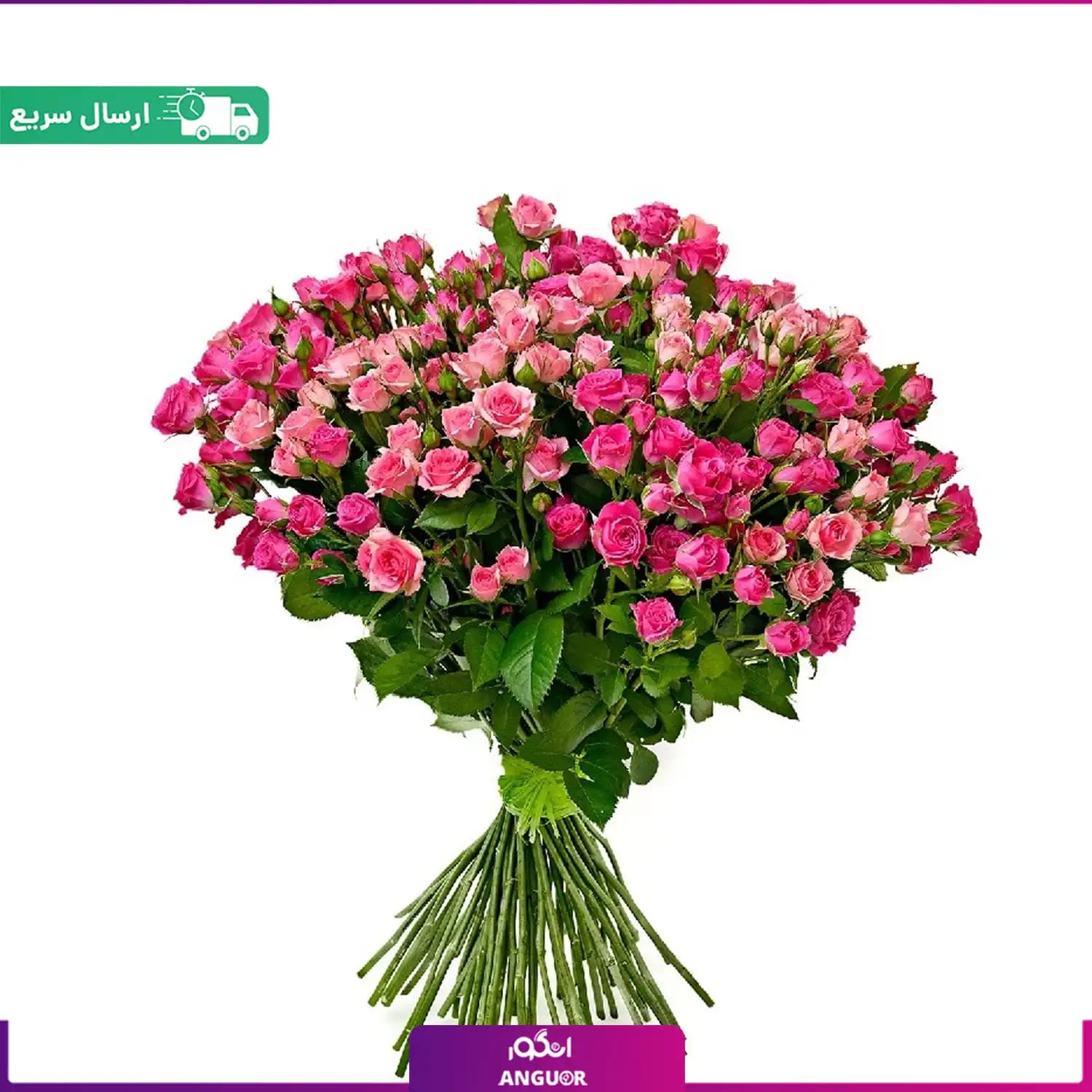 دسته گل رز مینیاتوری صورتی شکیل و ساده