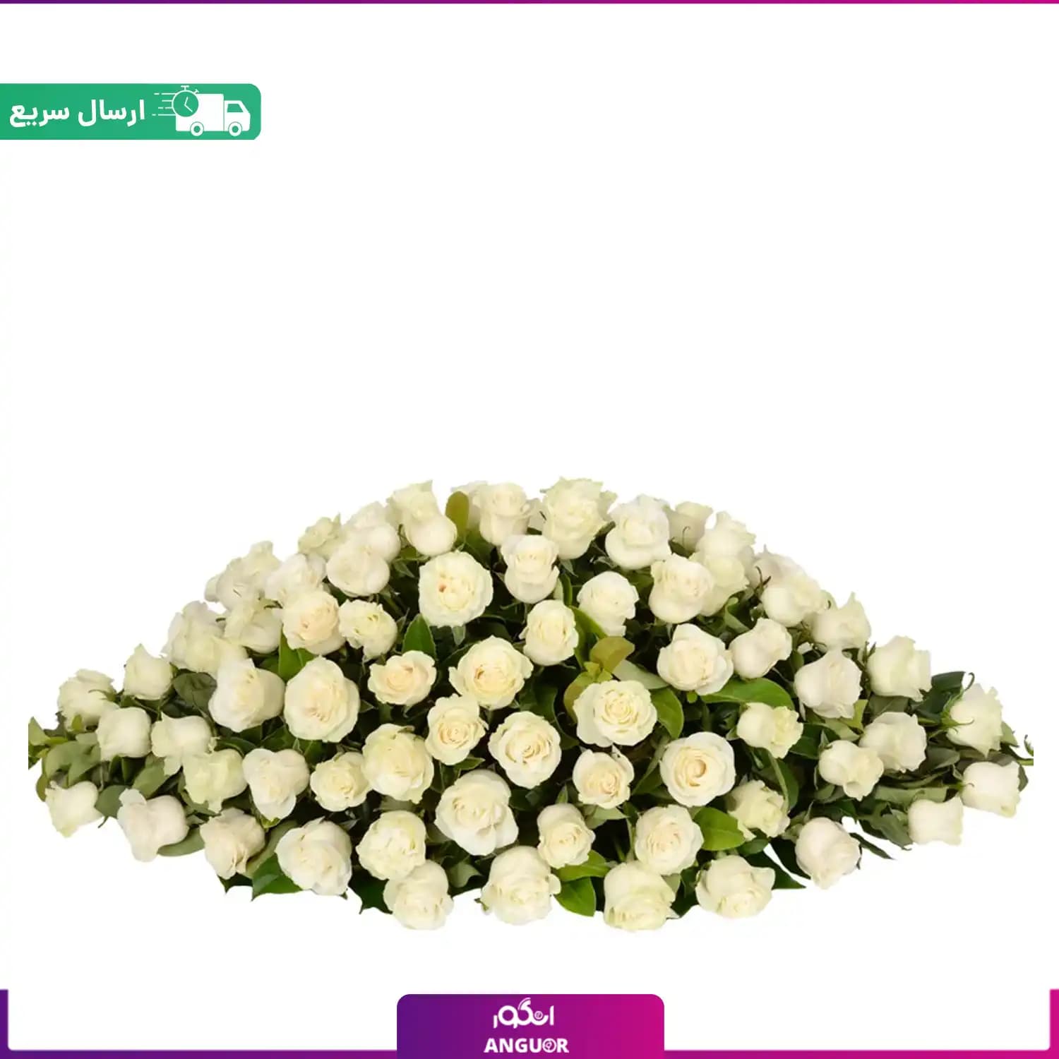 سبد گل رومیزی با رز سفید (160 شاخه)
