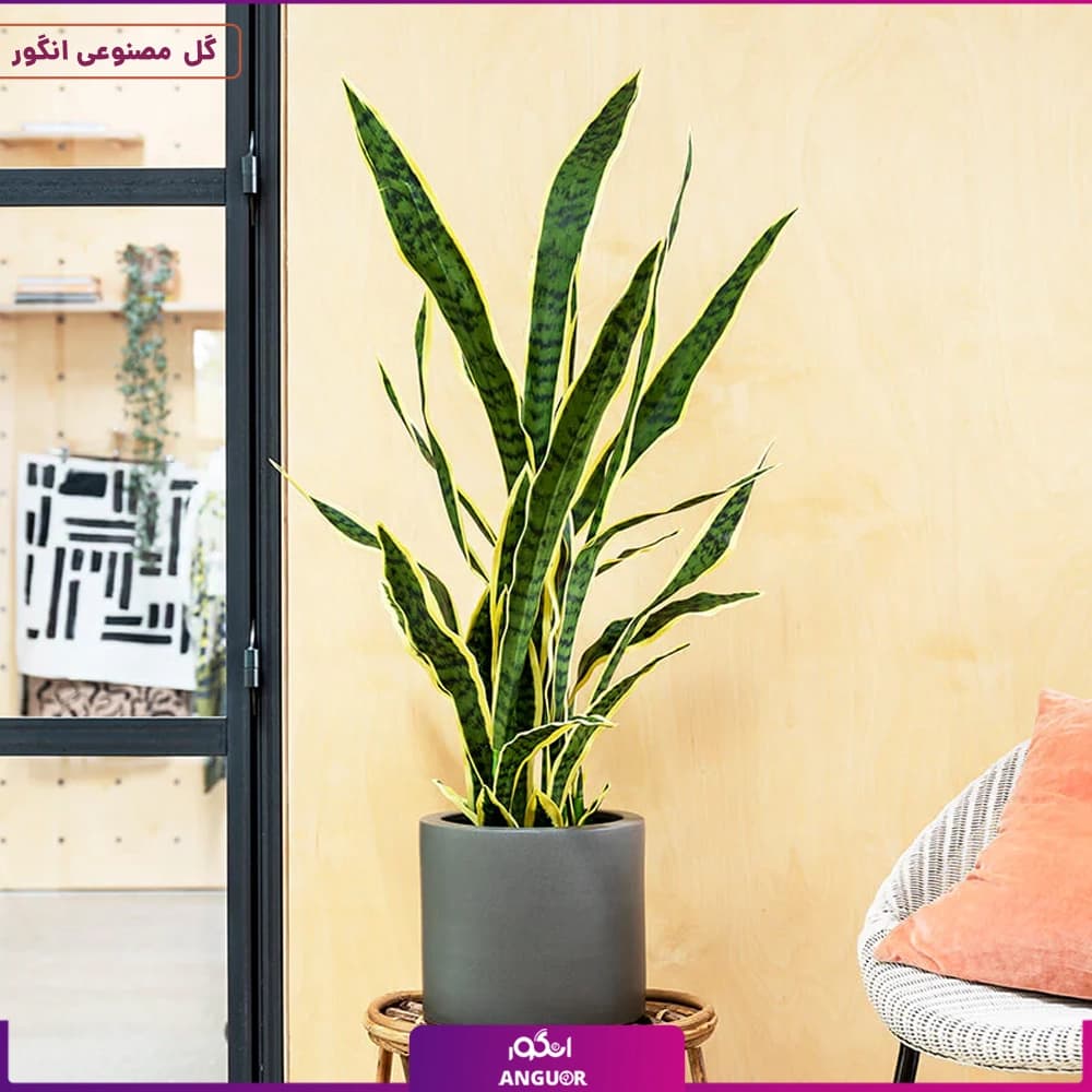 گلدان سانسوریا (مصنوعی وارداتی) — تصویر ۲