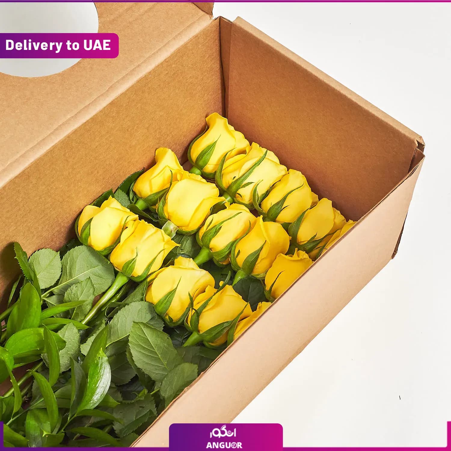 اشتراک ماهانه باکس گل رز ( ارسال به دبی و امارات) — تصویر ۳