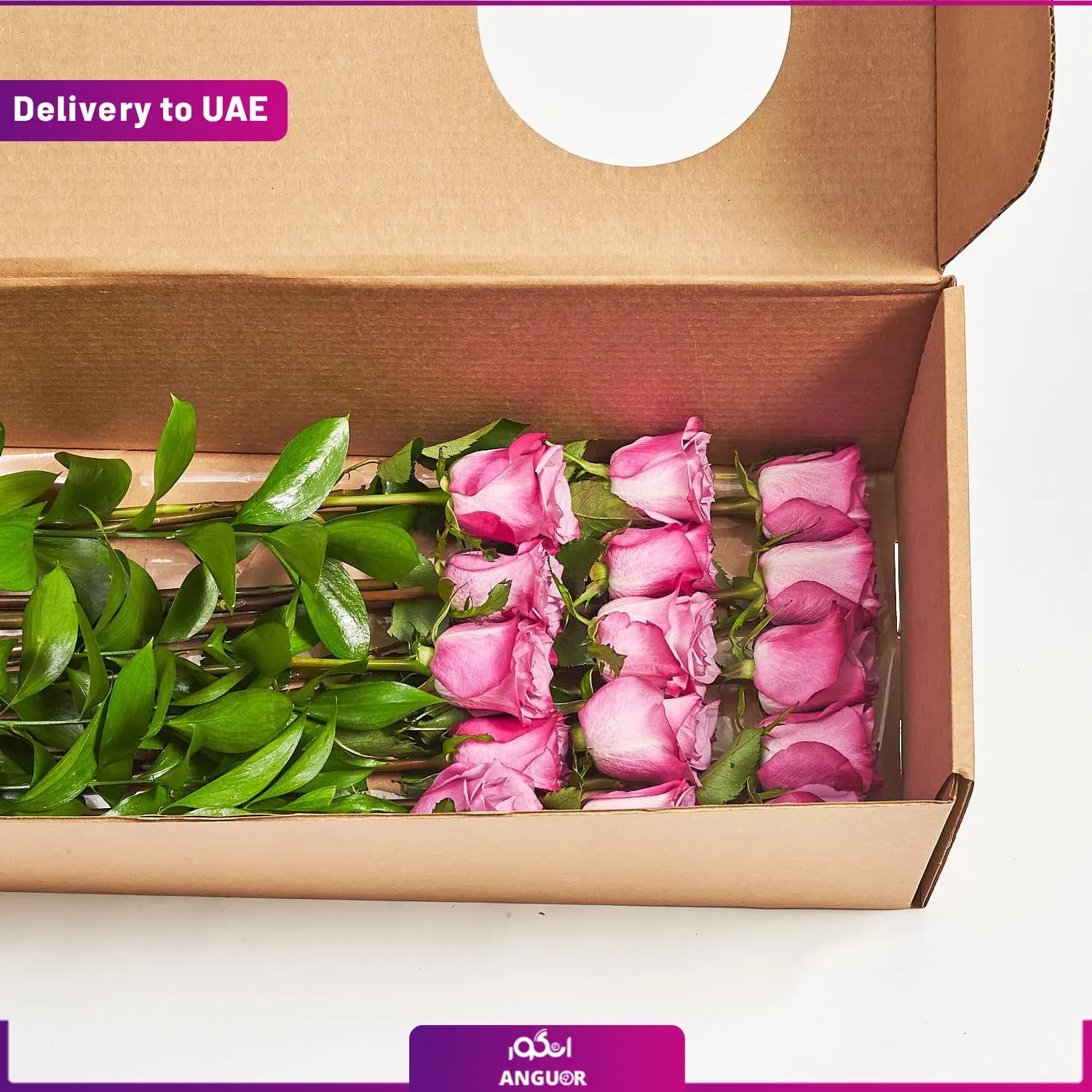اشتراک ماهانه باکس گل رز ( ارسال به دبی و امارات) — تصویر ۶