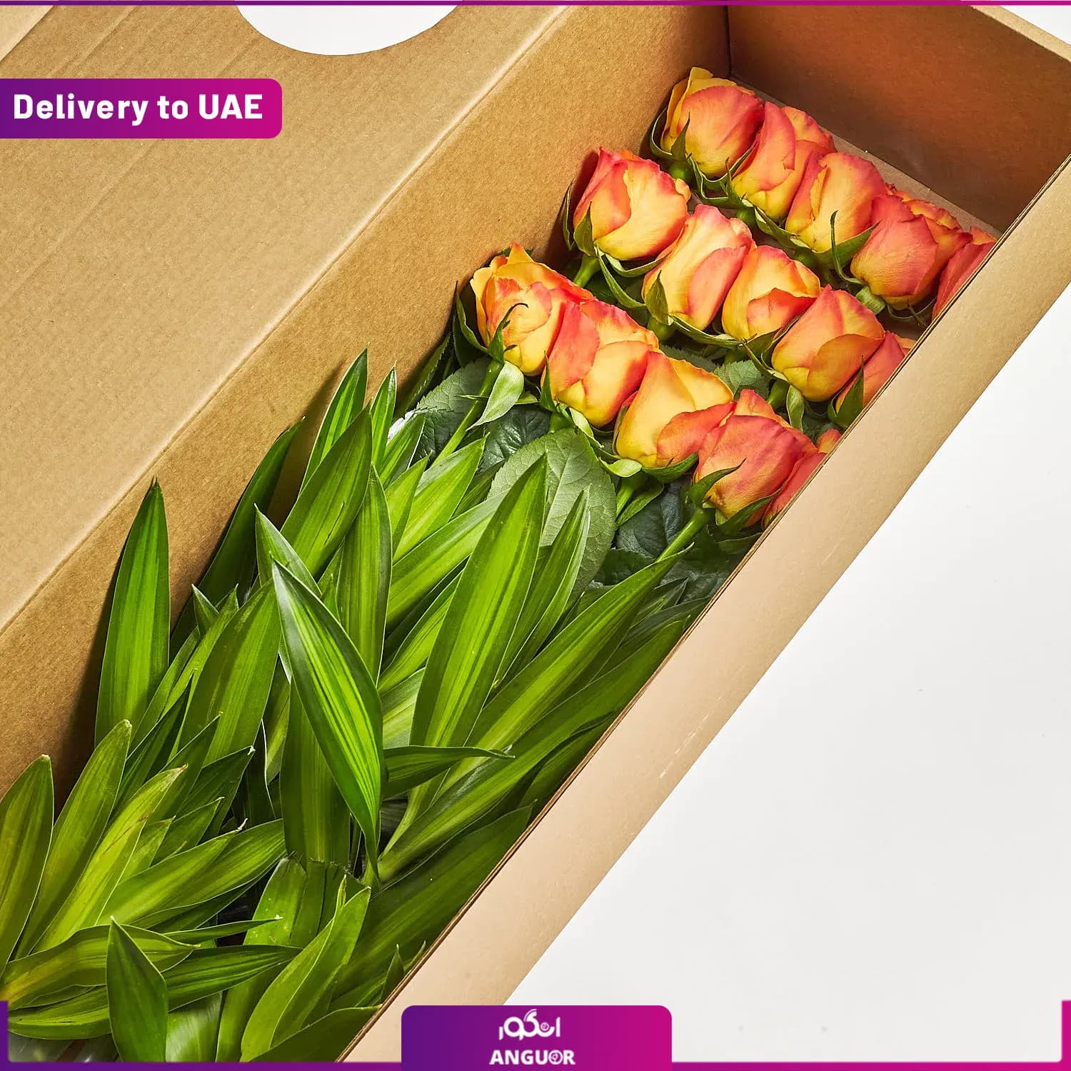 اشتراک ماهانه باکس گل رز ( ارسال به دبی و امارات) — تصویر ۴