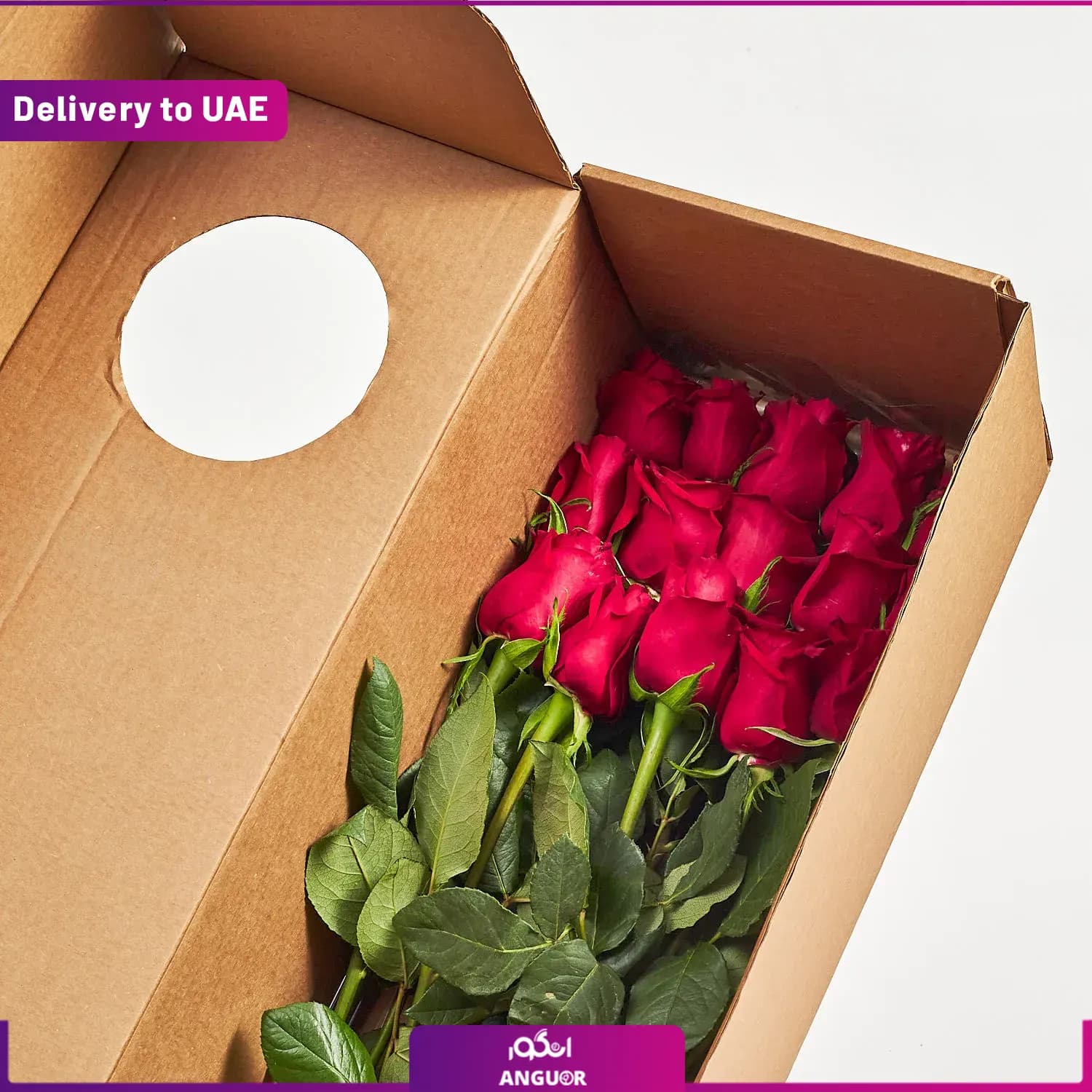 اشتراک ماهانه باکس گل رز ( ارسال به دبی و امارات) — تصویر ۵
