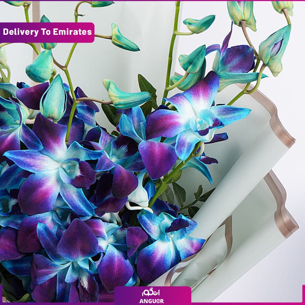 دسته گل ارکیده( ارسال به دبی و امارات) — تصویر ۳