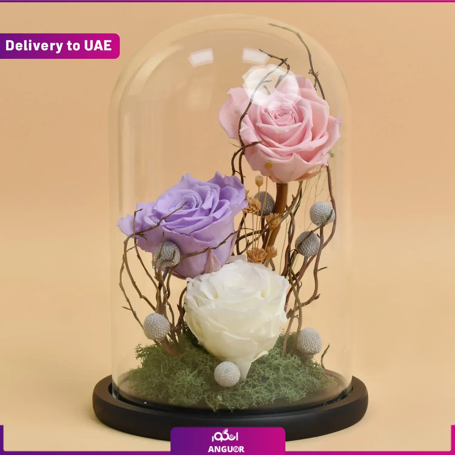 باکس شیشه ای گل رز جاودان ( تحویل امارات)