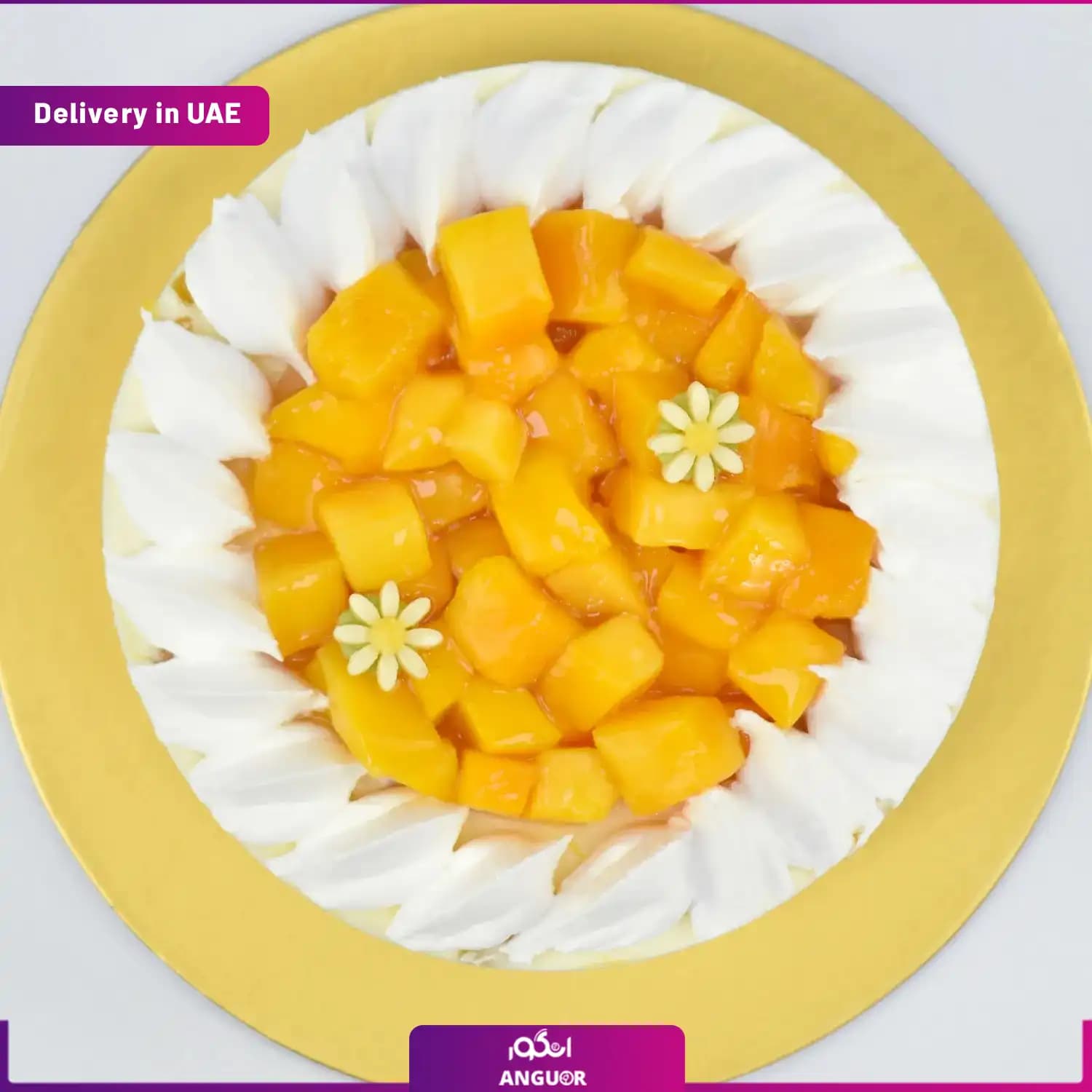 کیک پنیر انبه 4 تیکه (تحویل امارات) — تصویر ۳