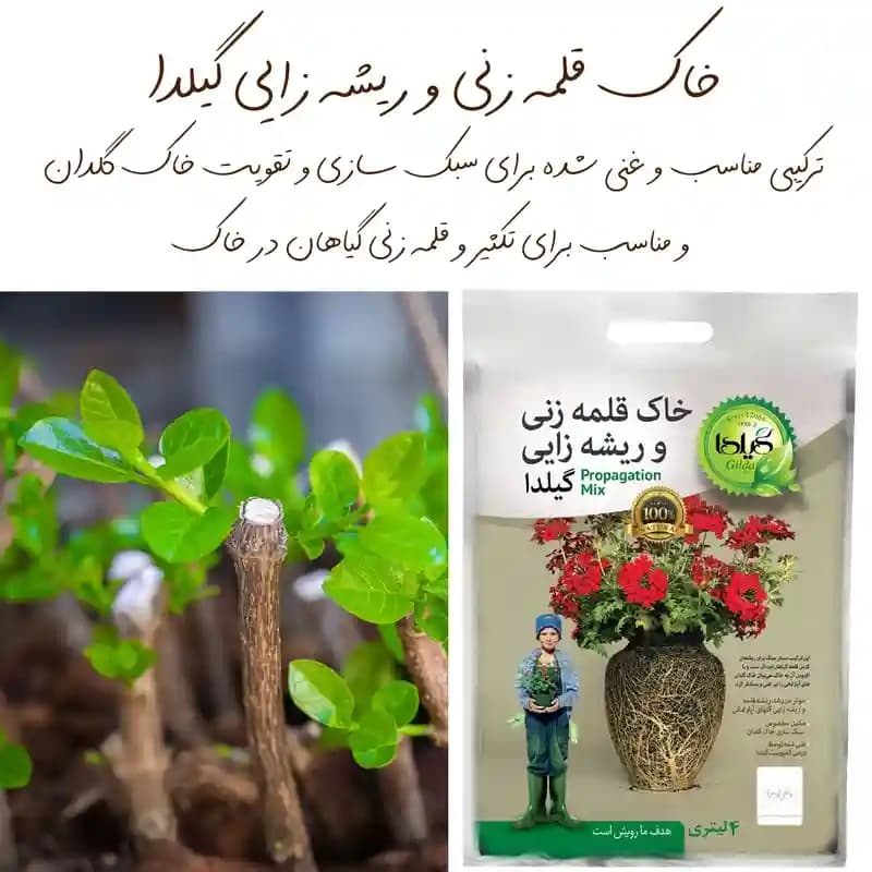 خاک قلمه زنی و ریشه زایی 4 لیتری گیلدا — تصویر ۶