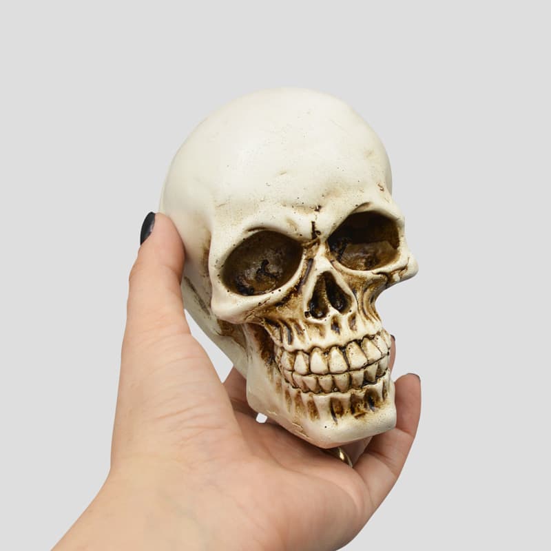 مجسمه جمجمه مدل Mini Skull رنگ استخوانی کد emp934 — تصویر ۵