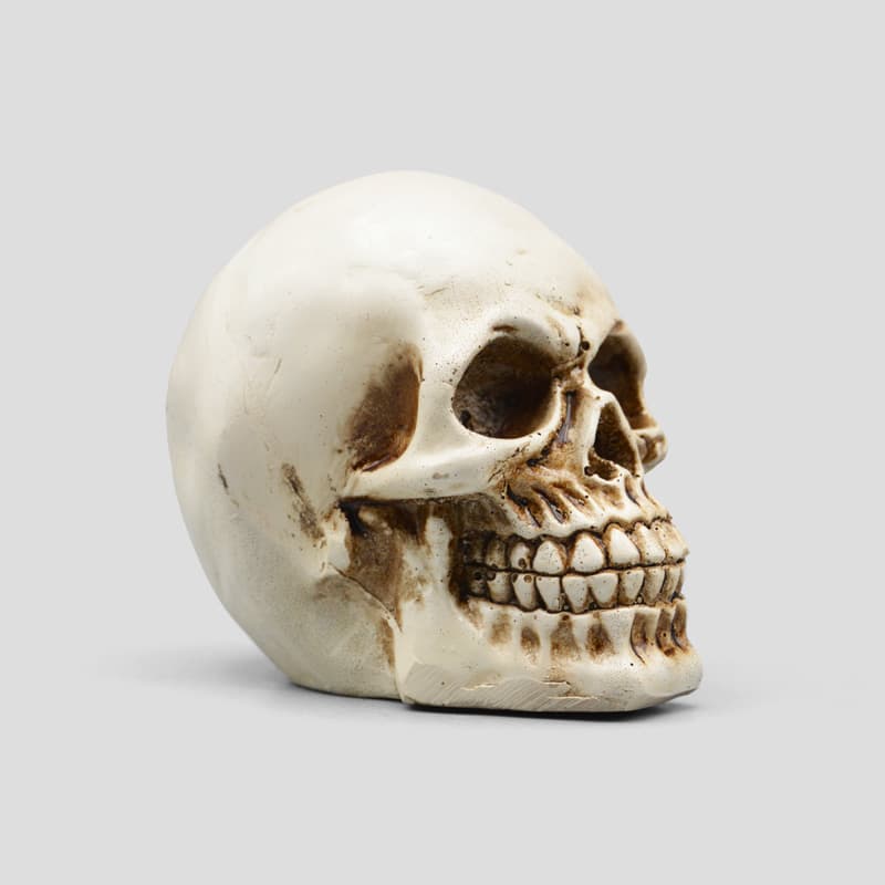 مجسمه جمجمه مدل Mini Skull رنگ استخوانی کد emp934