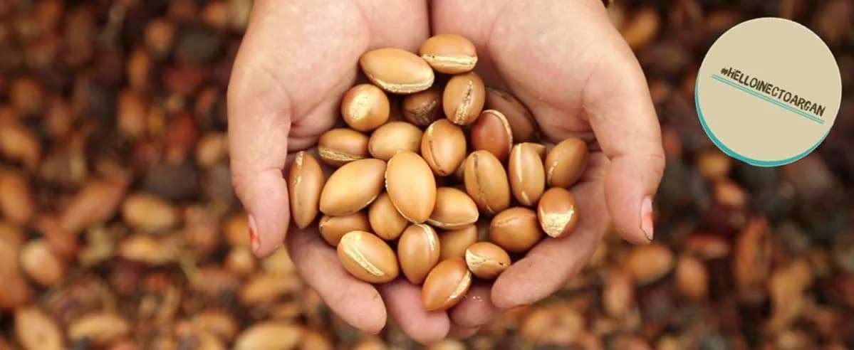 روغن آرگان اینکتو Inecto — تصویر ۹
