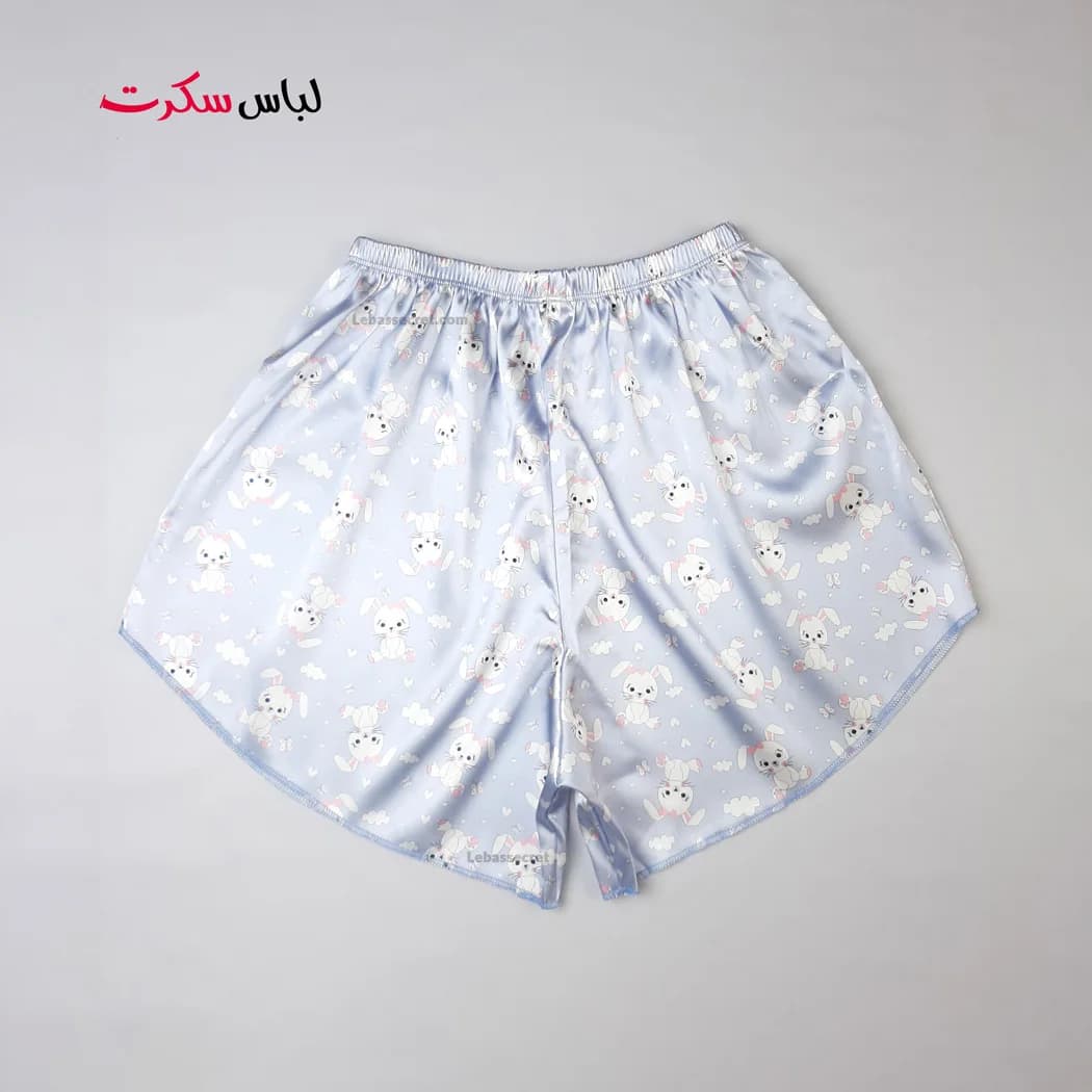 تاپ و شلوارک فانتزی ساتن lebassecret0822 — تصویر ۷