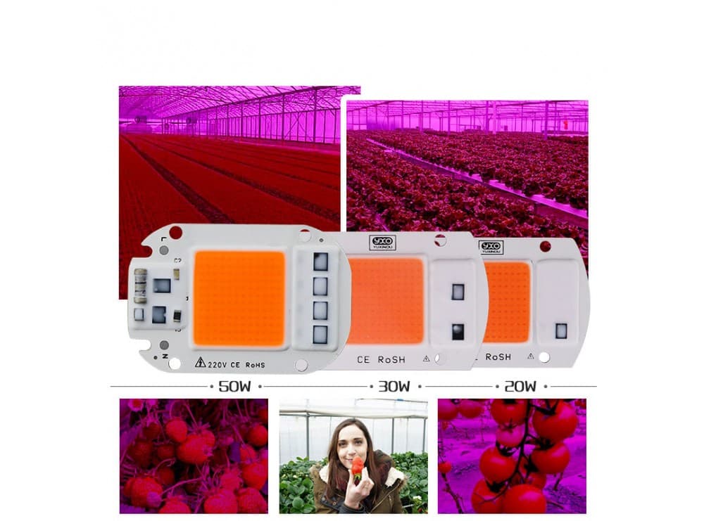 LED COB رشد گیاه 50W 220V سایز 5850 دارای مدار حفاظتی Anti Surge — تصویر ۷
