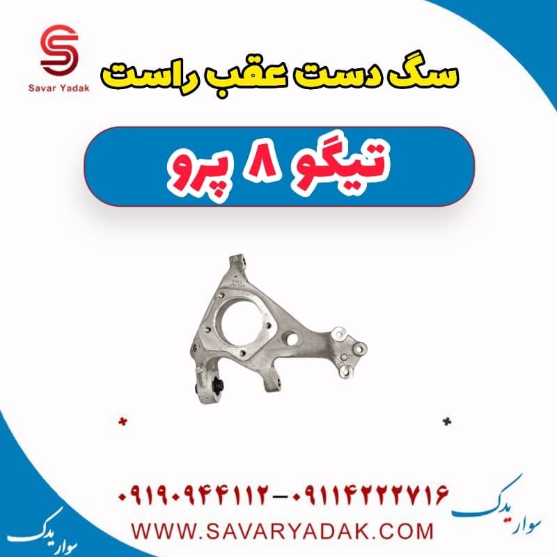 سگ دست عقب راست تیگو 8 پرو