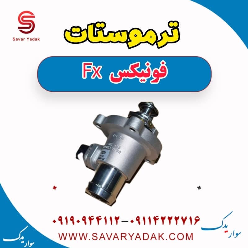ترموستات فونیکس FX