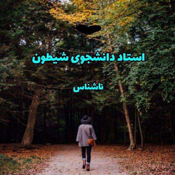 رمان استاد و دانشجوی شیطون | دانلود | کتاب خوان