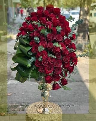 ترکیب جذاب خرید گیاه خرفه برای هدیه، دکور یا میز پذیرش