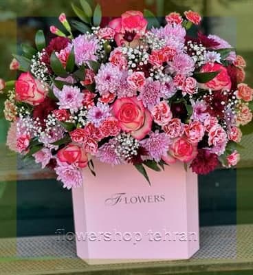 با گلدان ژیپسوفیلا فضای خانه یا محل کار را زنده کن