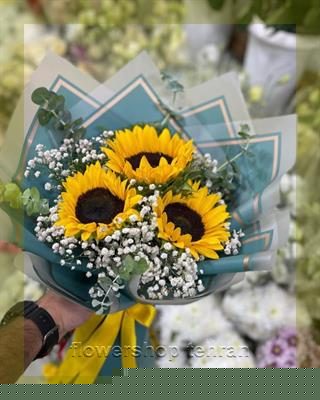 بازار گل شهرداری تهران با قیمت مناسب و کیفیت حرفه‌ای