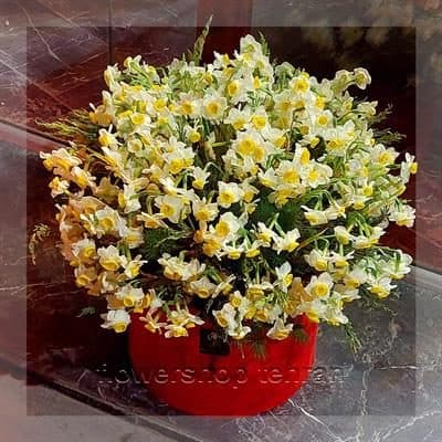 با یک گل هدیه تولد ساده، حال و هوای جشن را عوض کن