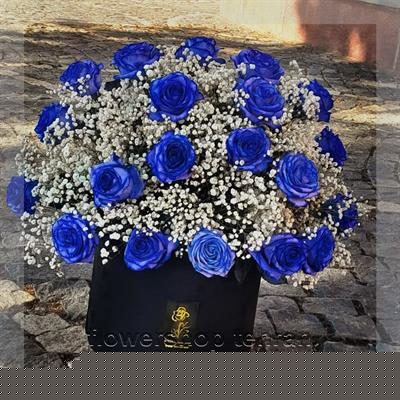گل استرزیا با گل‌های تازه و دیزاین حرفه‌ای