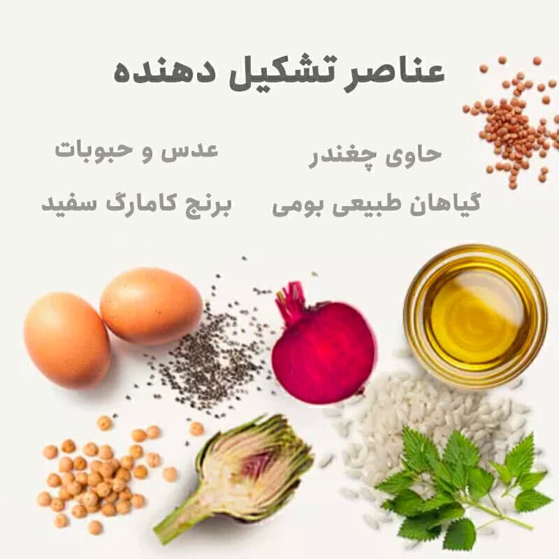 غذای خشک توله سگ نژاد کوچک با طعم مرغ بابین Babin Mini Junior With Chicken وزن 2 کیلوگرم — تصویر ۶