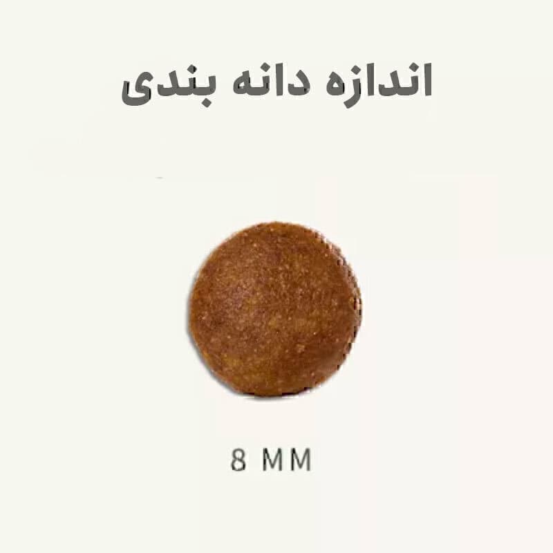 غذای خشک توله سگ نژاد کوچک با طعم مرغ بابین Babin Mini Junior With Chicken وزن 2 کیلوگرم — تصویر ۴