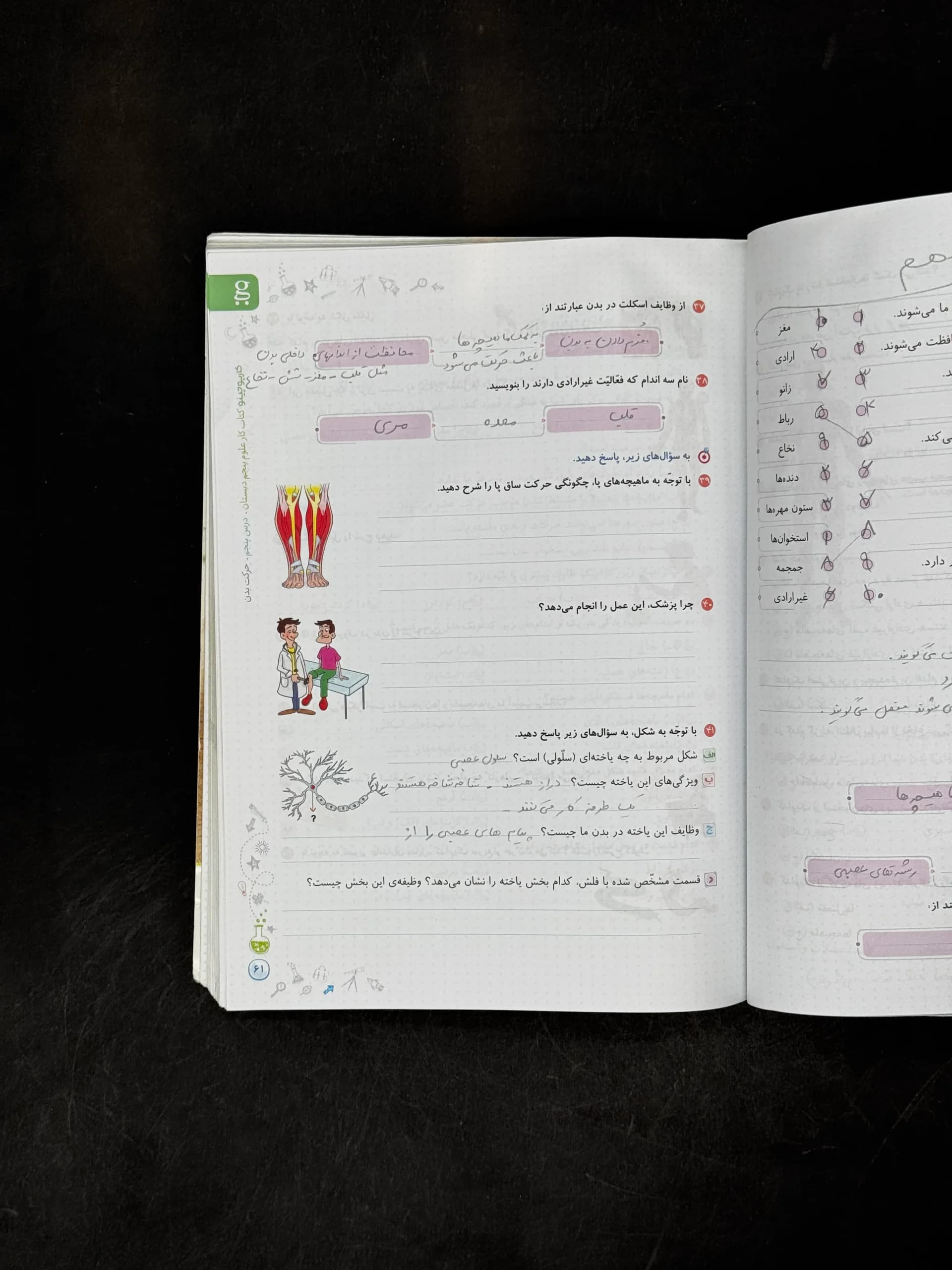 گاج علوم پنجم 5 دبستان کتاب کار — تصویر ۷